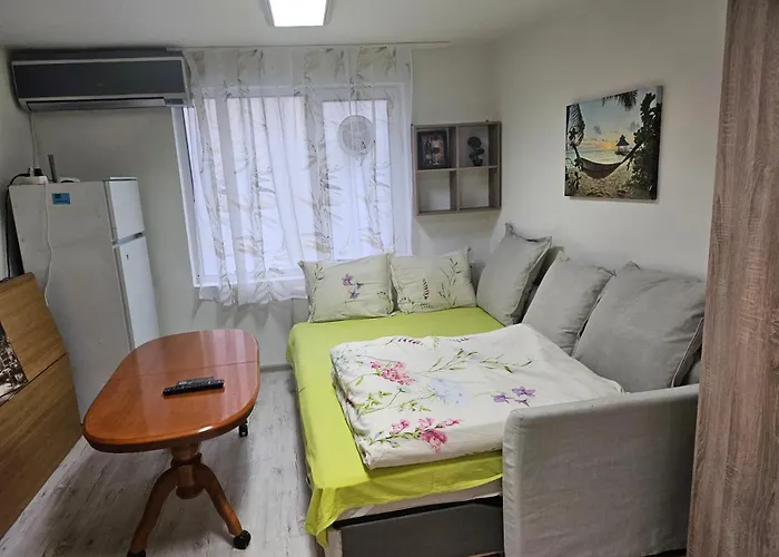 Apartament гарсониера в центъра на град *